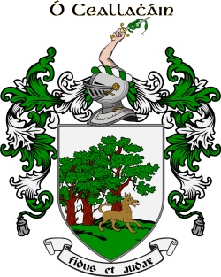 CALLAGHAN family crest